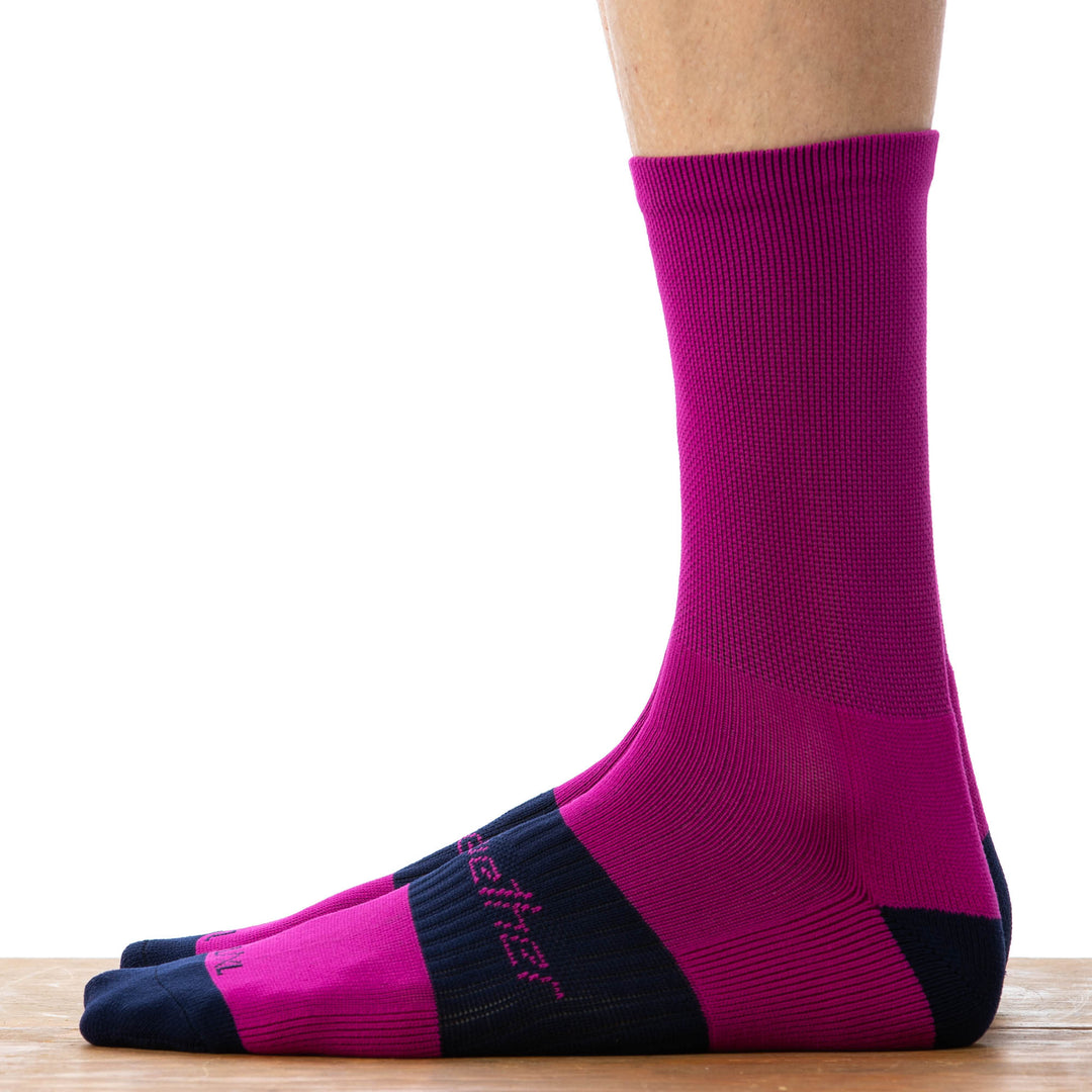 Bellwether Tempo Sock